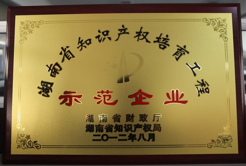 湖南省知识产权造就工程师范企业2012.8