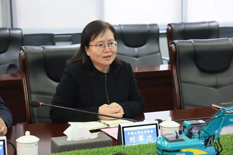 中国上市公司协会党委委员、副秘书长刘翠兰一行调研银河集团9873cm智能